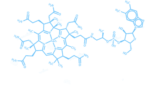 baojianpin-img2.png